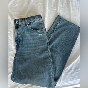 Everlane the “Way High Jean”